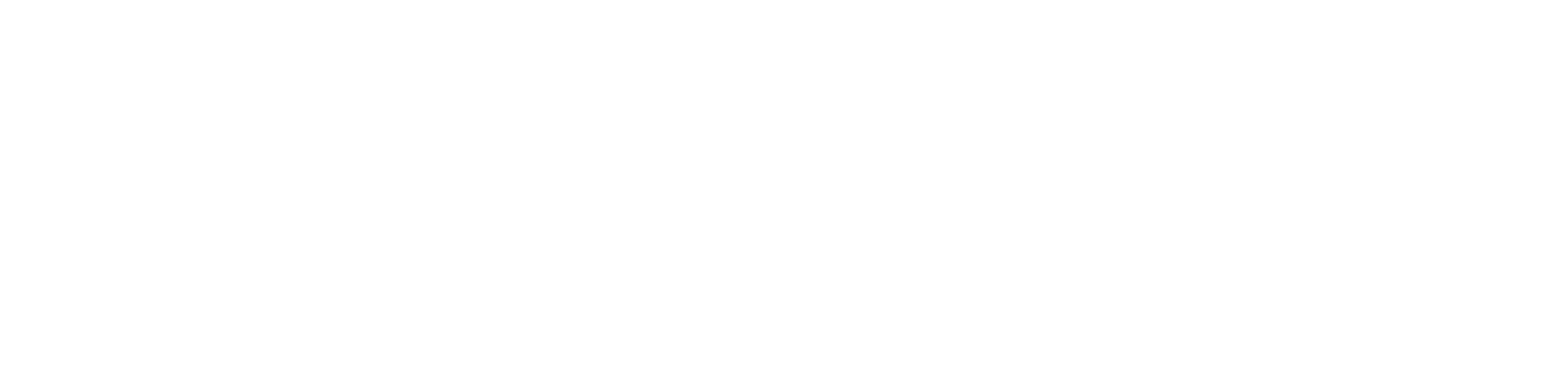 Vibe Code Audits